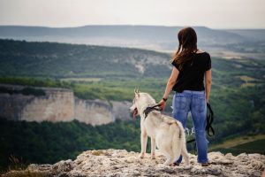 A girl with black top and blue jeans hiking with a husky