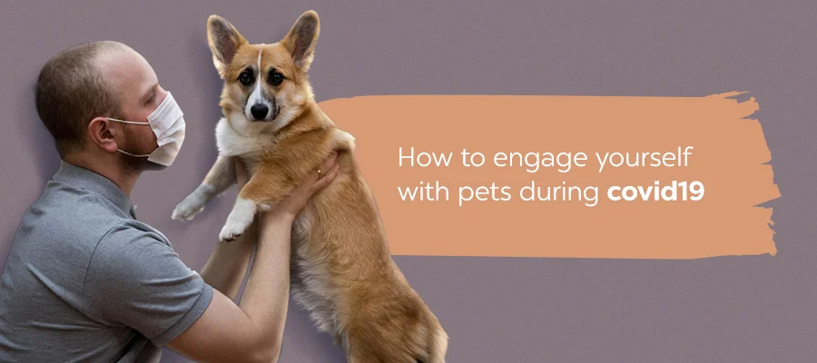 How to engage yourself with pets during COVID-19 lockdown?