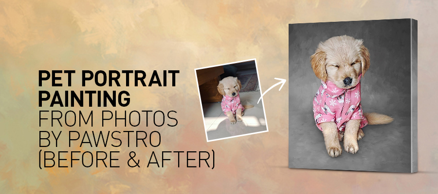 Pet Portrait Painting from Photos by Pawstro (Before & After)